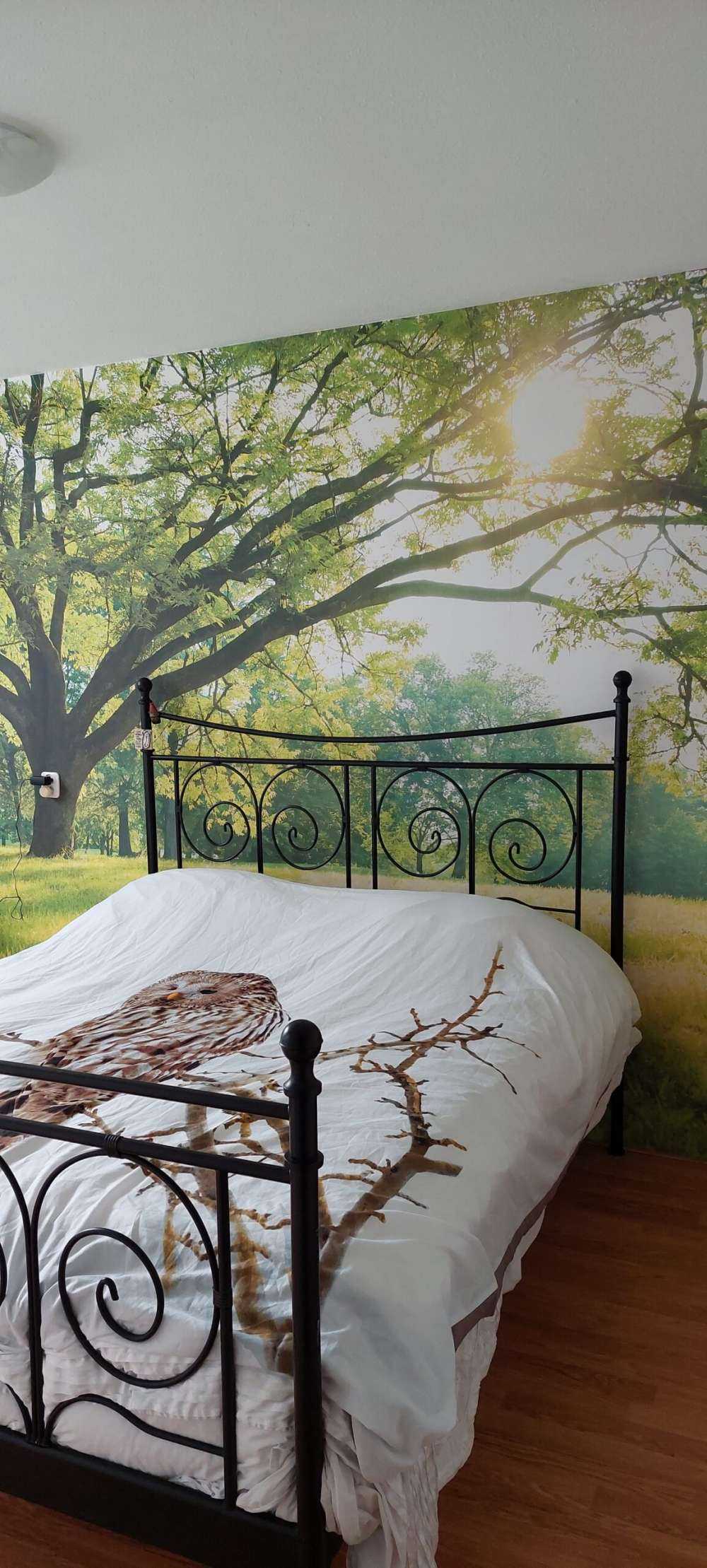 Piękne drzewo z zieloną trawą