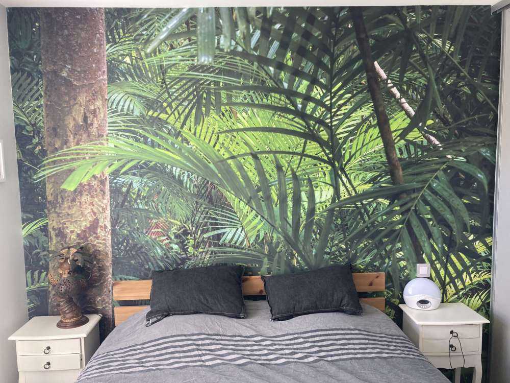 Tropikalne lasy deszczowe