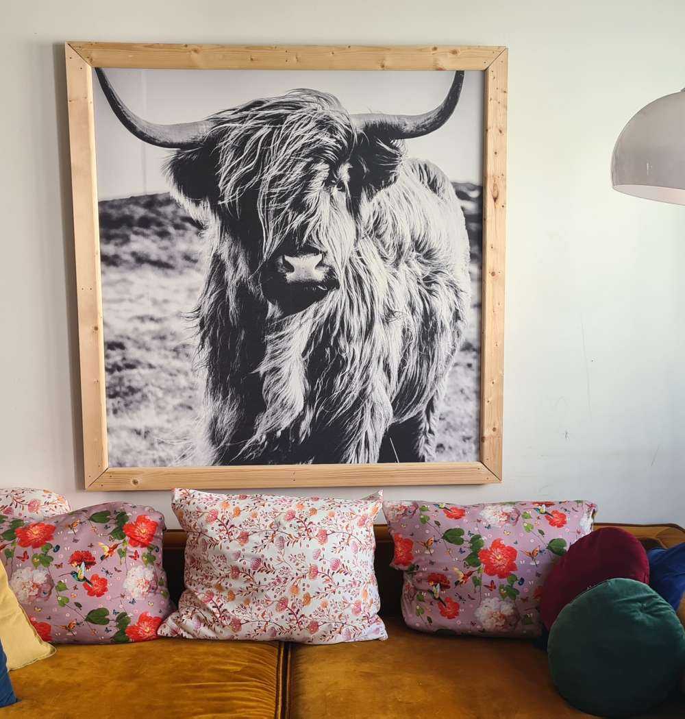 Szkocka rasa wyżynna w czerni i bieli