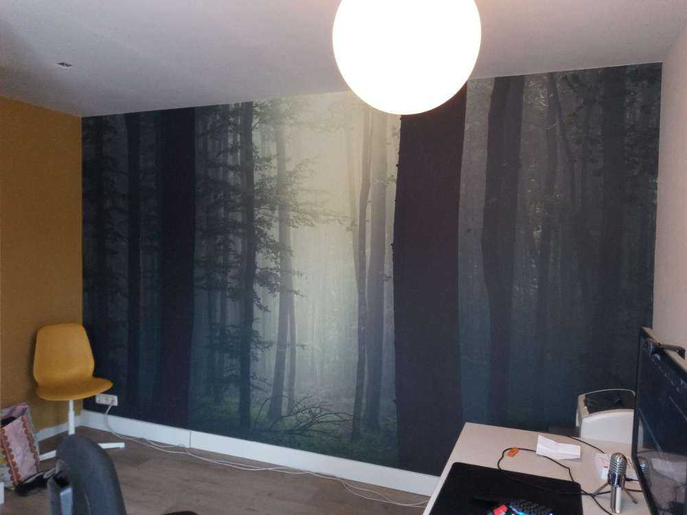 Promień słońca w lesie