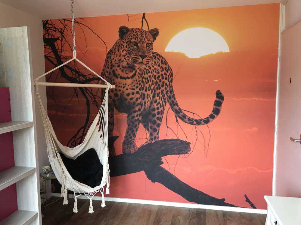 Lampart na tle zachodzącego słońca