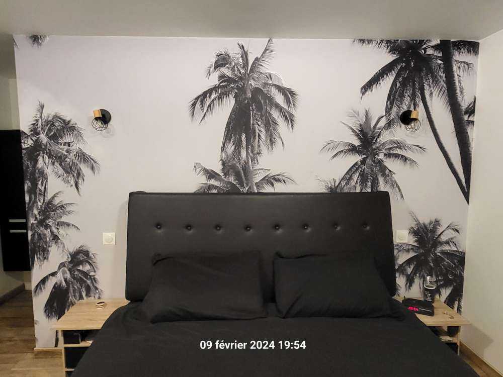 Palmy w czerni i bieli