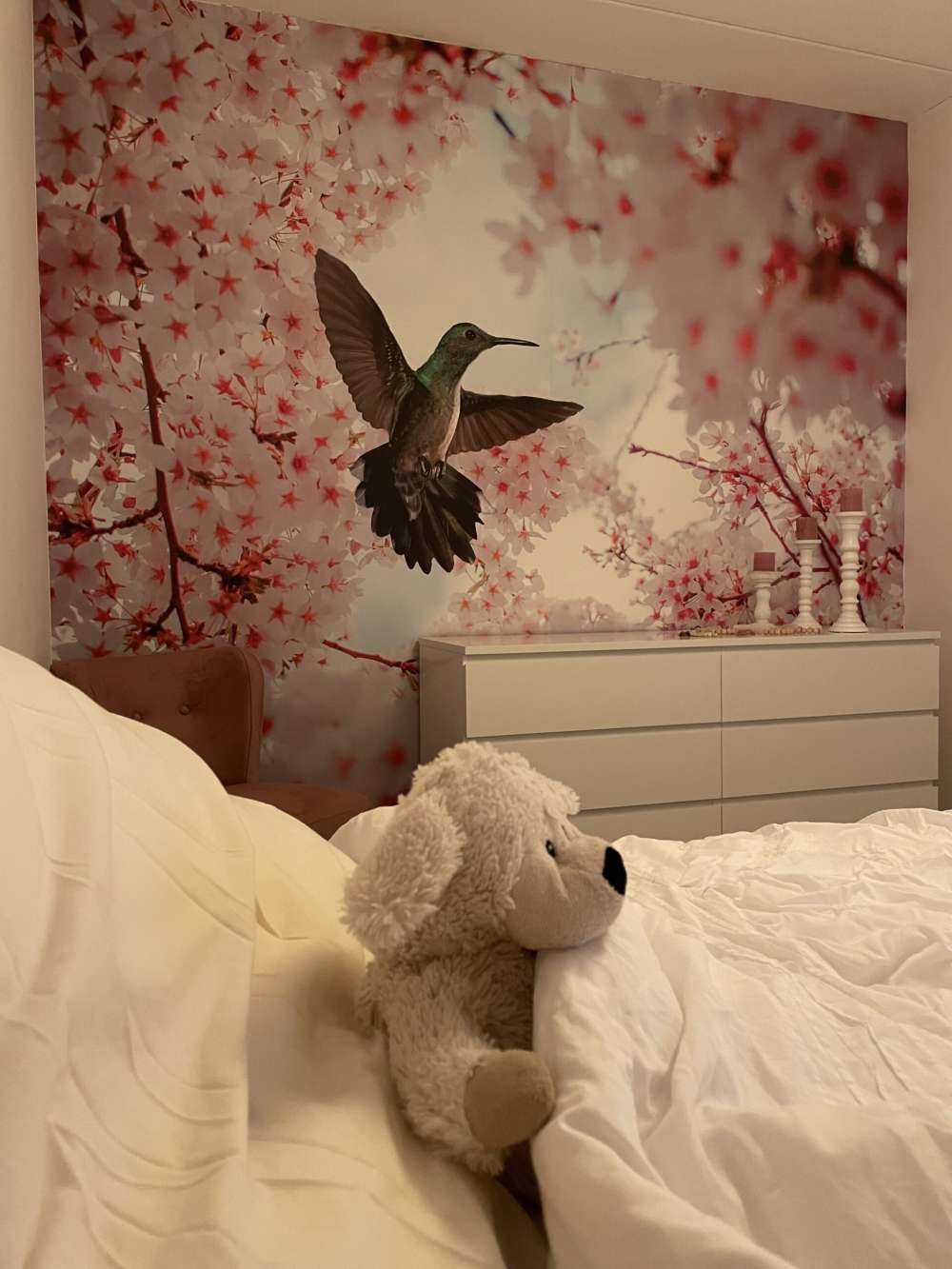 Koliber między kwiatami