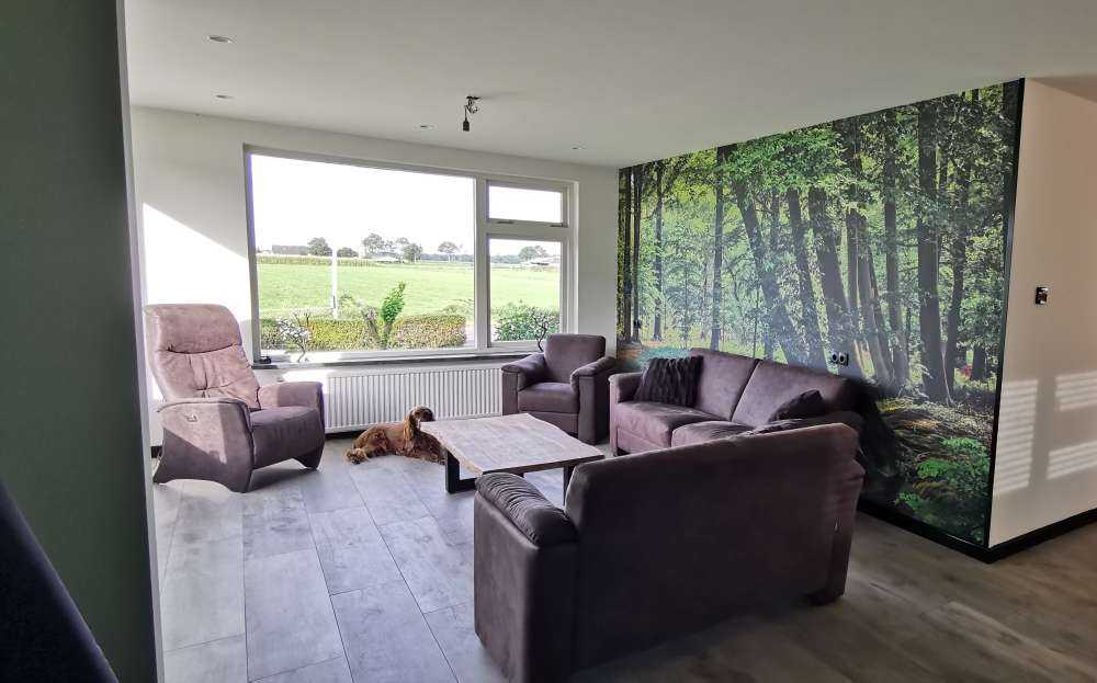 Wygięte drzewa w pobliżu wody