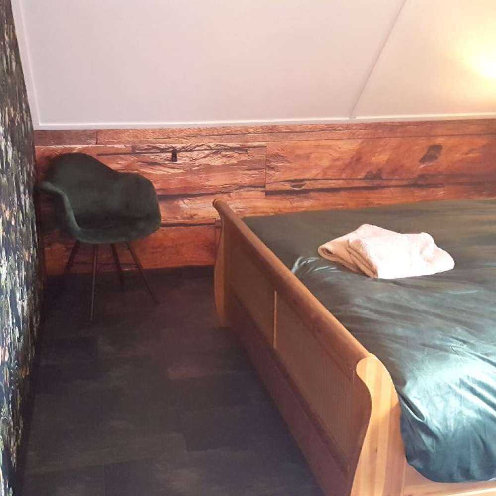 Drewno gruboziarniste