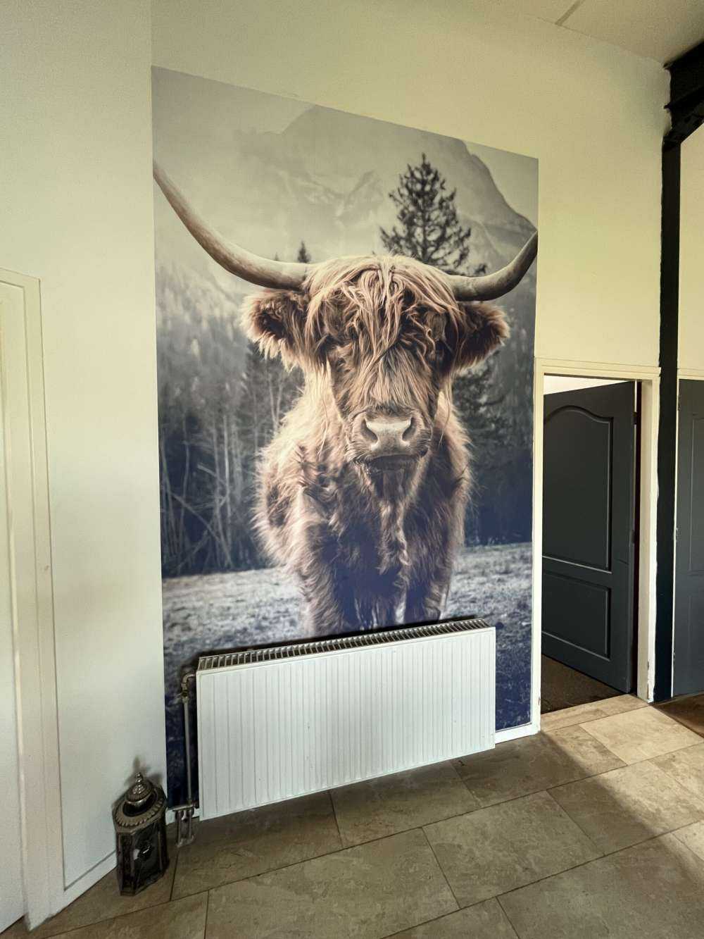 Szkocka rasa wyżynna przy lesie