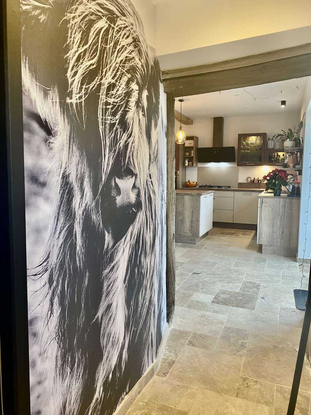 Szkocka rasa wyżynna w czerni i bieli