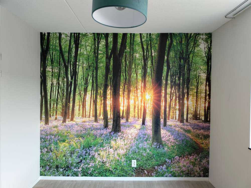 Leśna ścieżka o wschodzie słońca