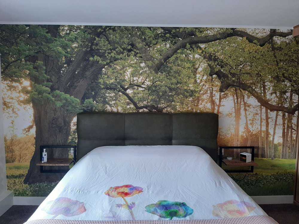 Otwarta przestrzeń w lesie