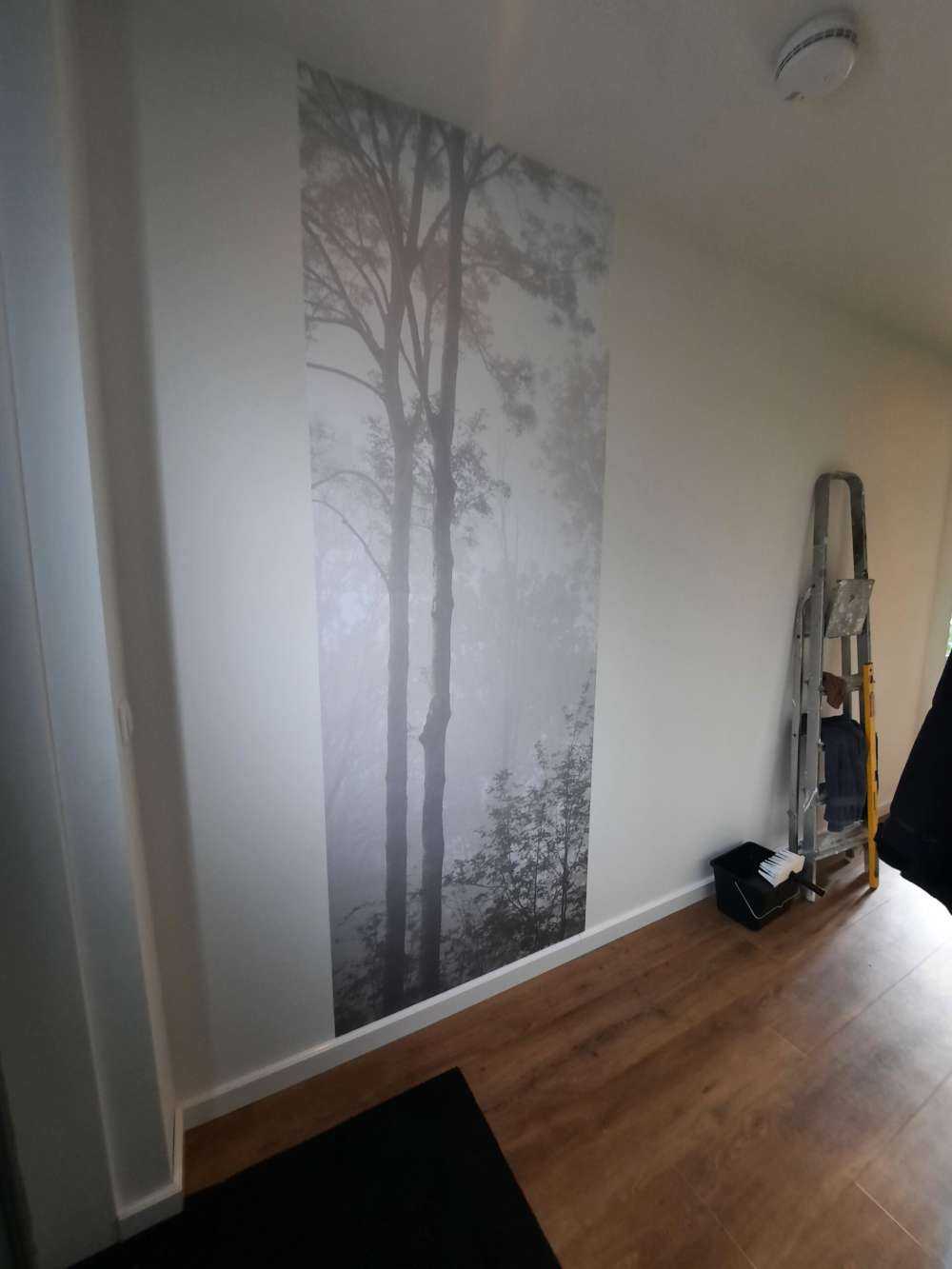 Gęsta mgła w lesie