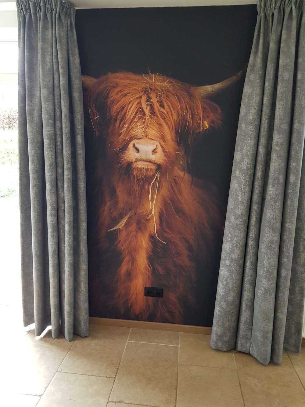 Portret szkockiego wyżynna