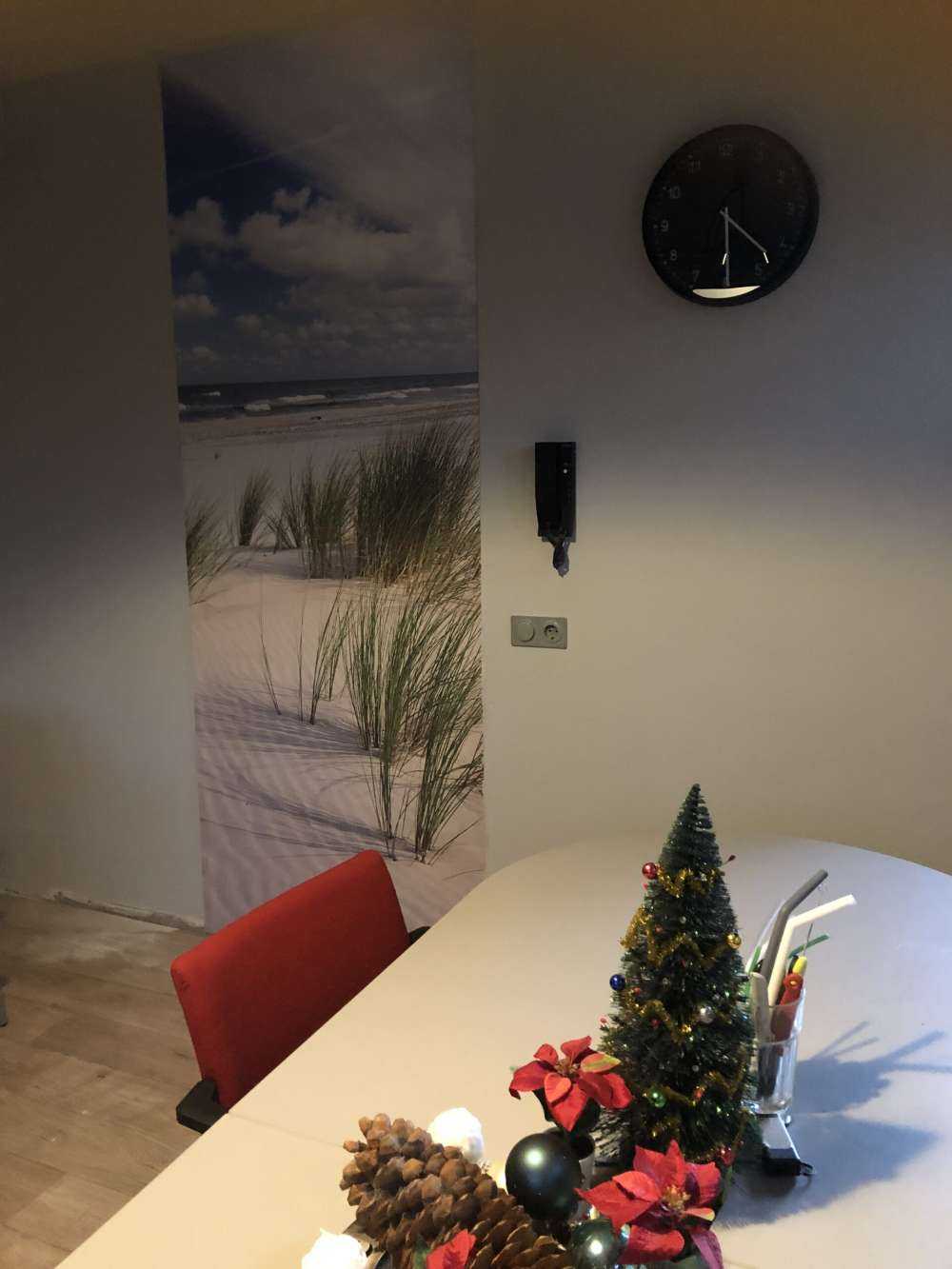 Plaża z roślinami wydmowymi