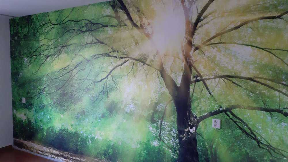 Duże drzewo ze słońcem