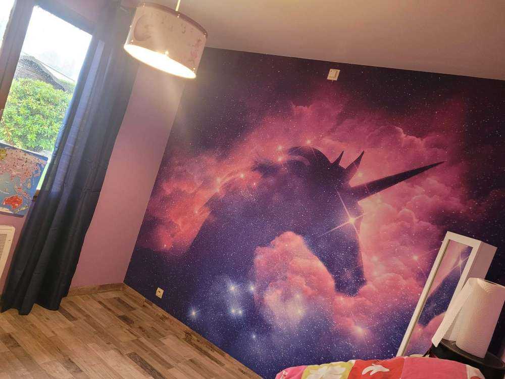 Sylwetka jednorożca