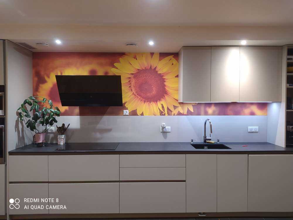 Słoneczniki w świetle słonecznym