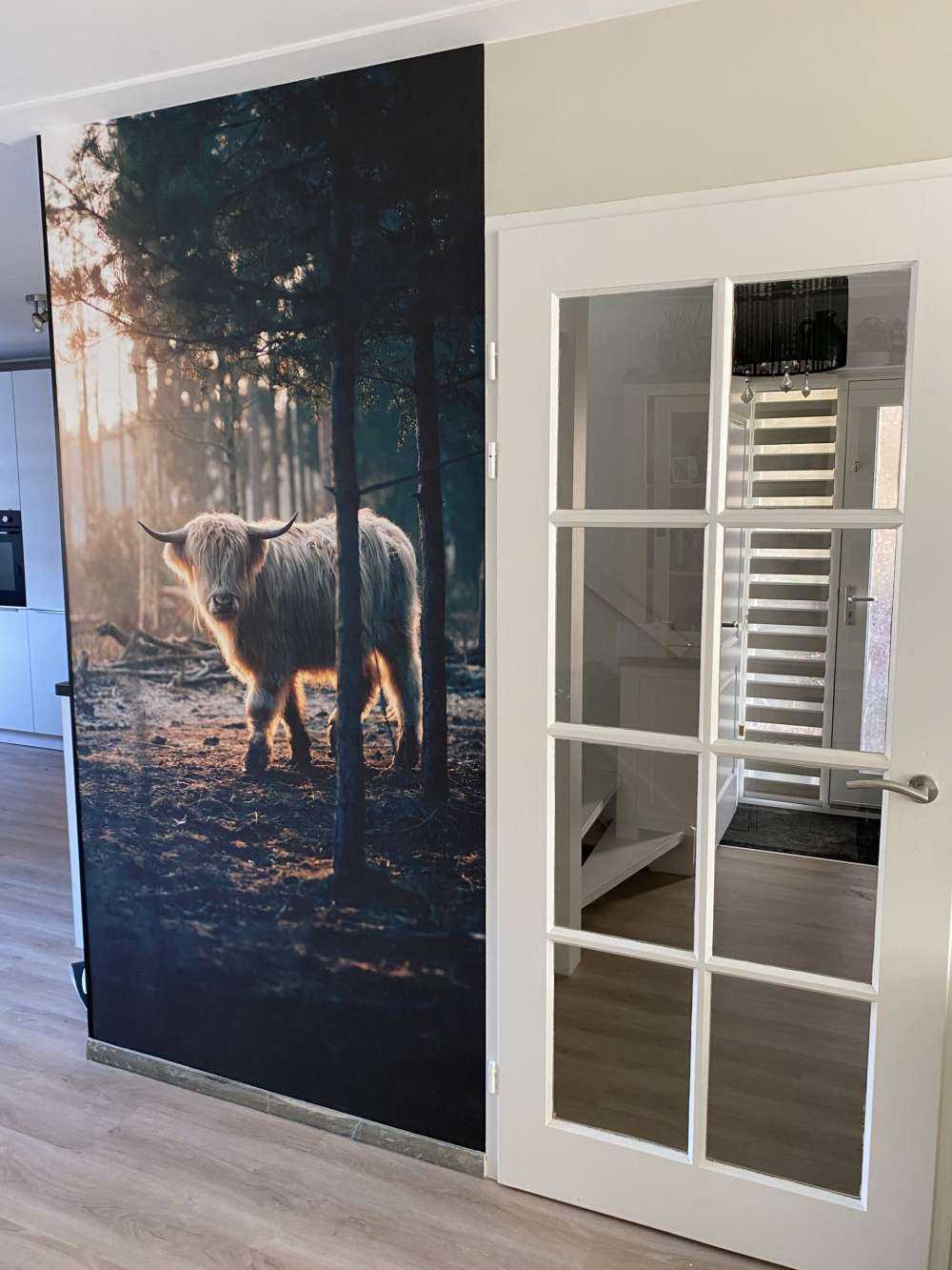 Biały szkocki wyżyn