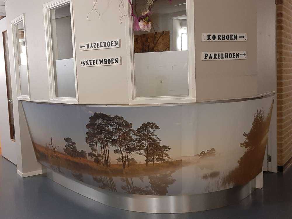 Refleksja na wrzosowiskach