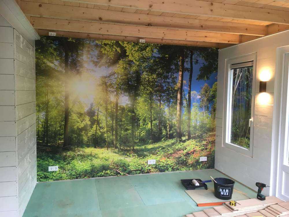 Las z promieniami słonecznymi