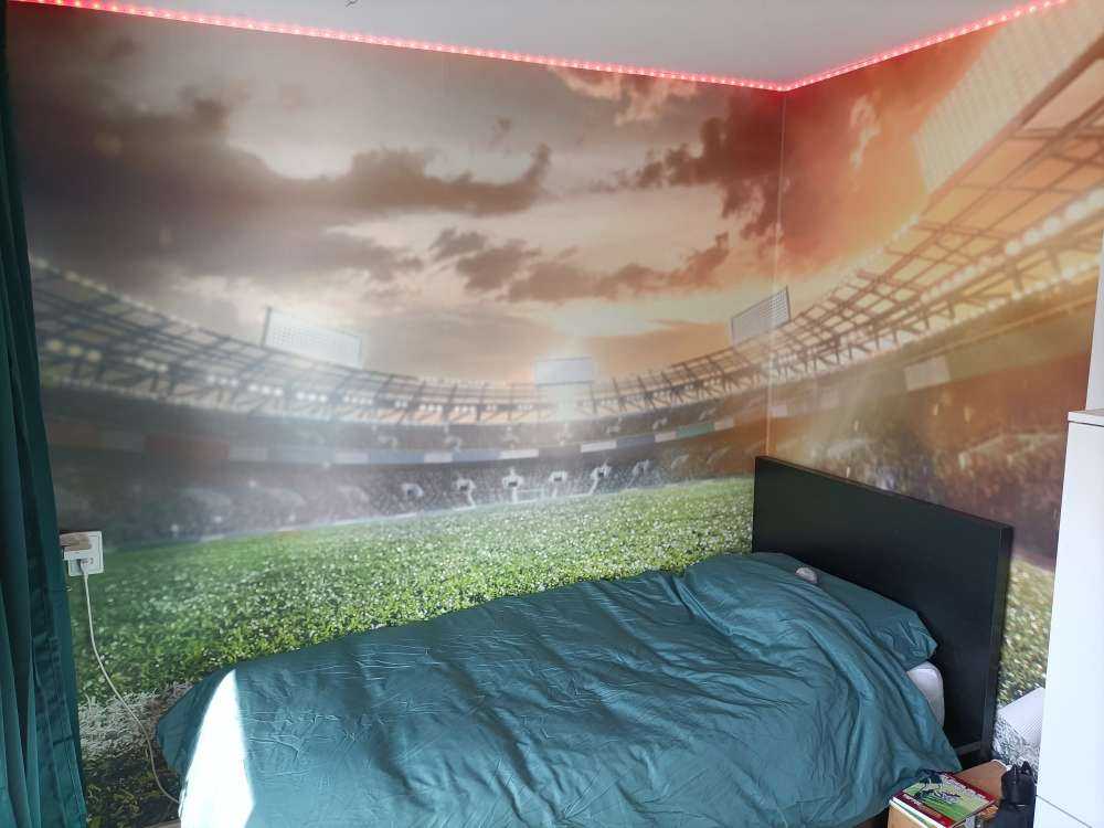 Stadion ze sztuczną trawą