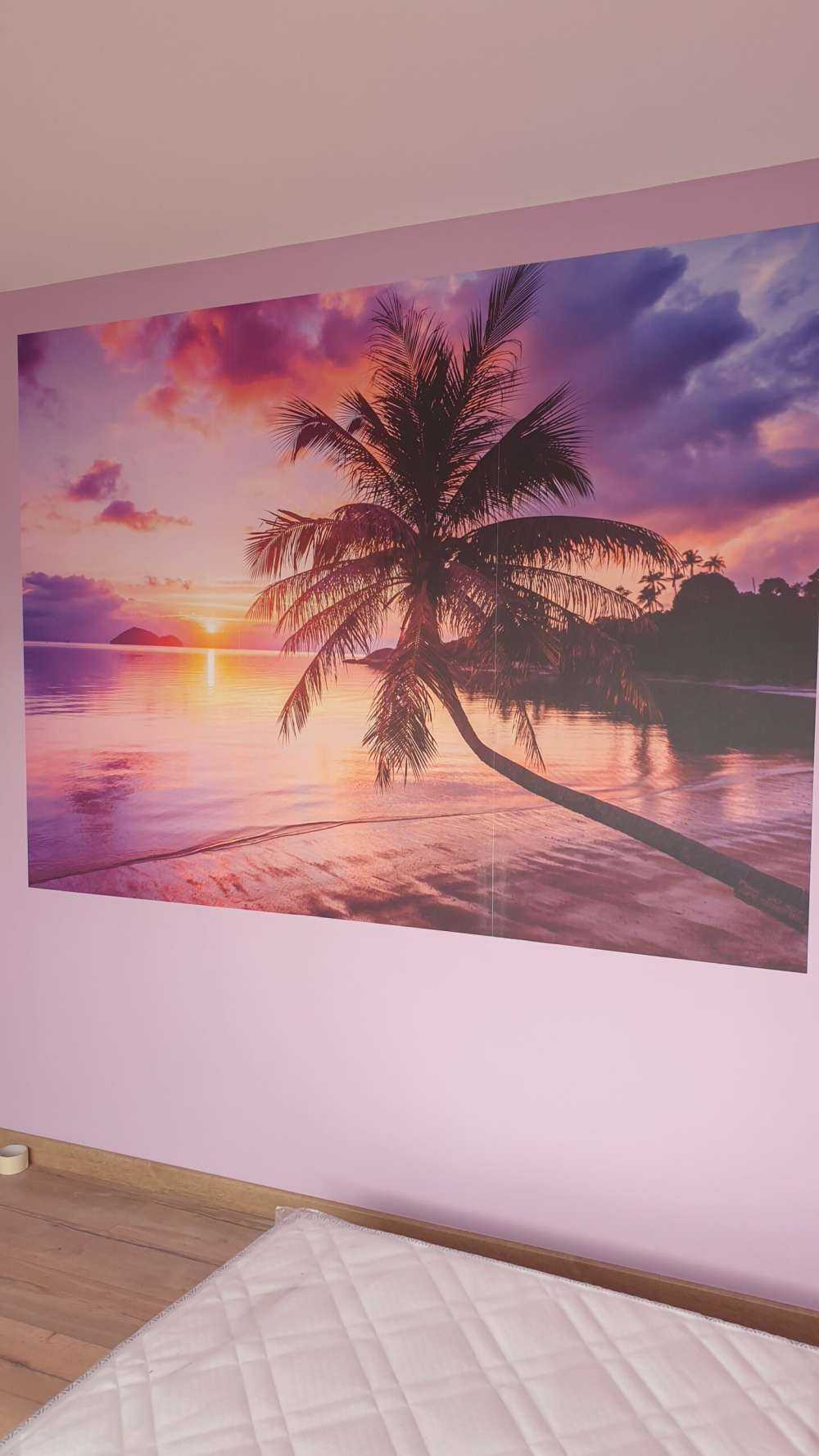 Palma przy zachodzie słońca