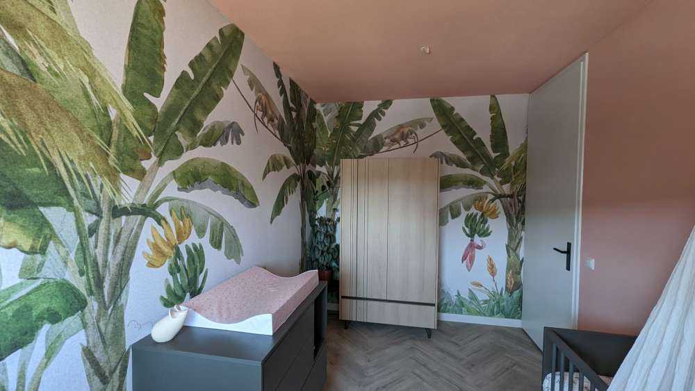 Dżungla z kolorowymi zwierzętami