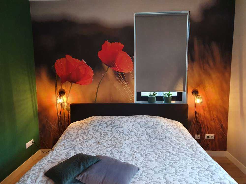 Maki na polu pszenicy