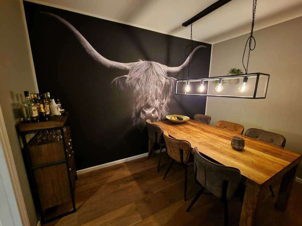 Czarno-biała szkocka rasa wyżynna