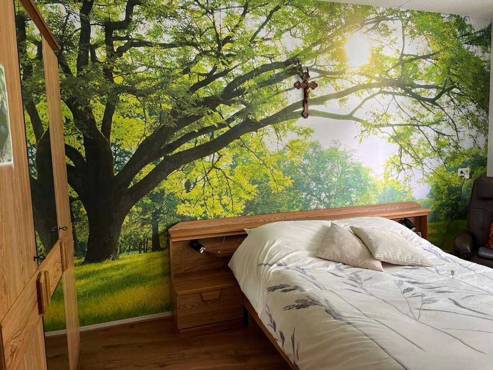 Piękne drzewo z zieloną trawą