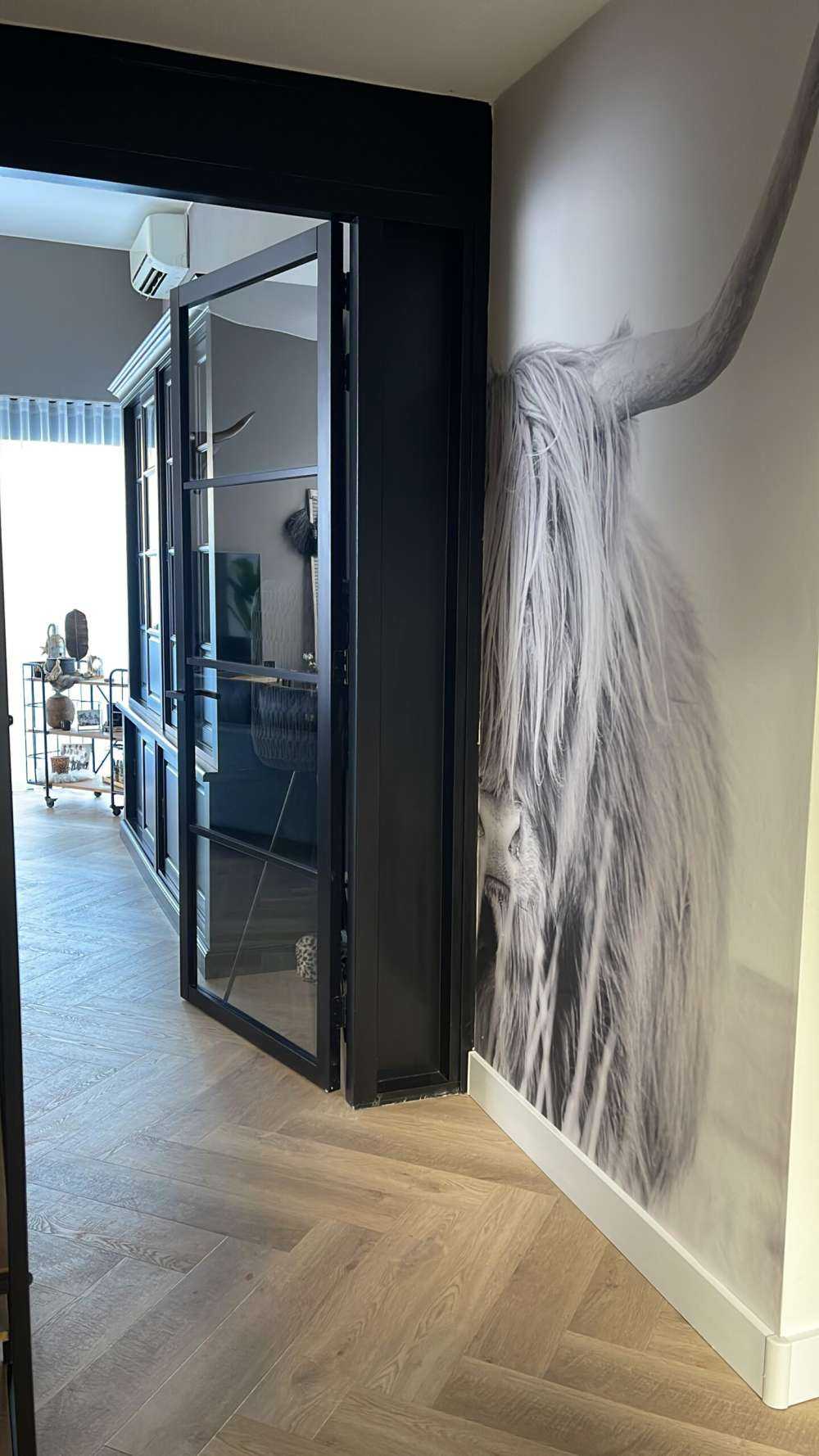 Zbliżenie na szkocką rasę wyżynna