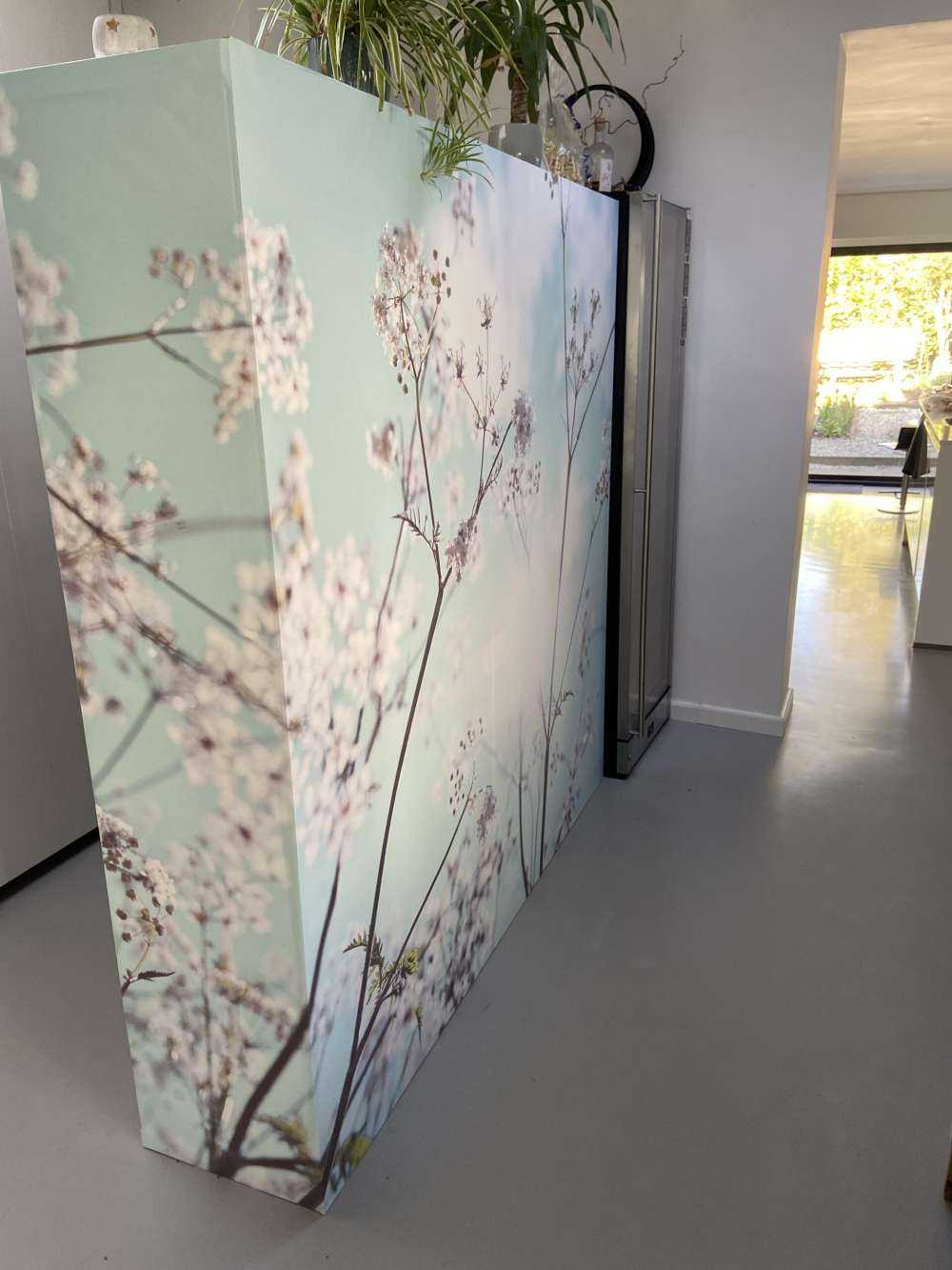 Kwiat migdałowca w słońcu