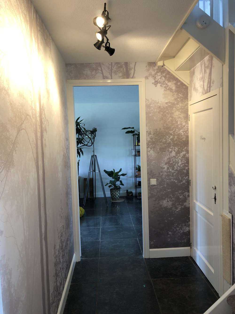 Gęsta mgła w lesie