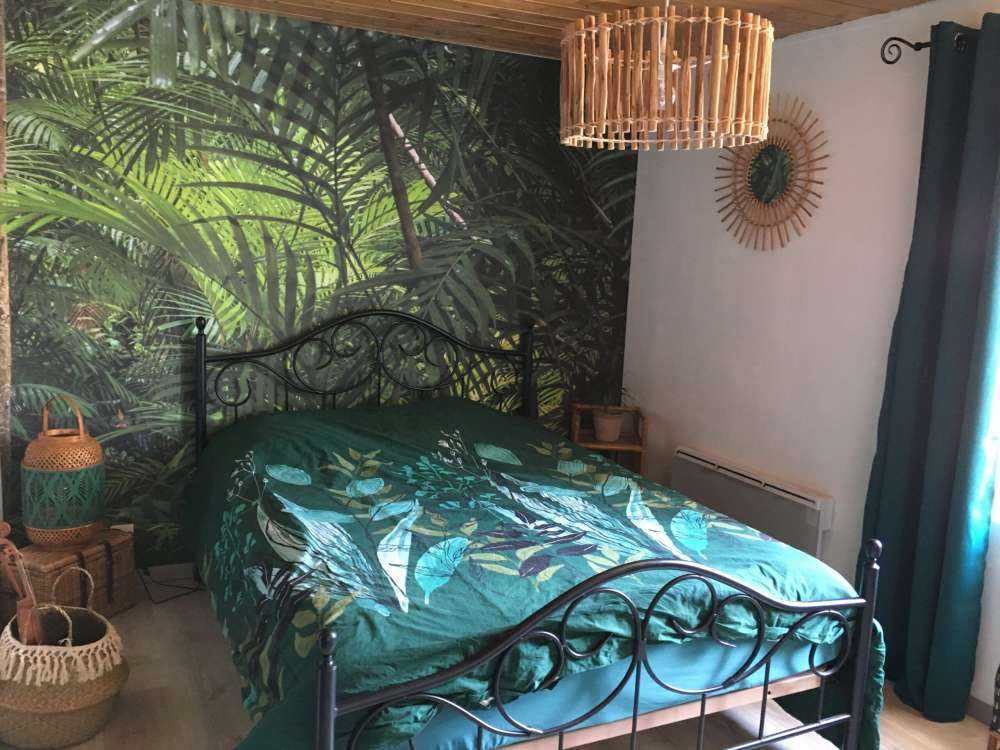 Tropikalne lasy deszczowe