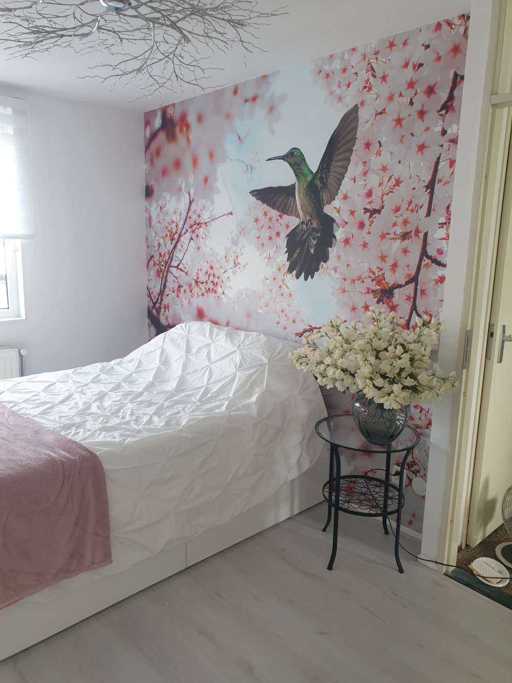 Koliber między kwiatami