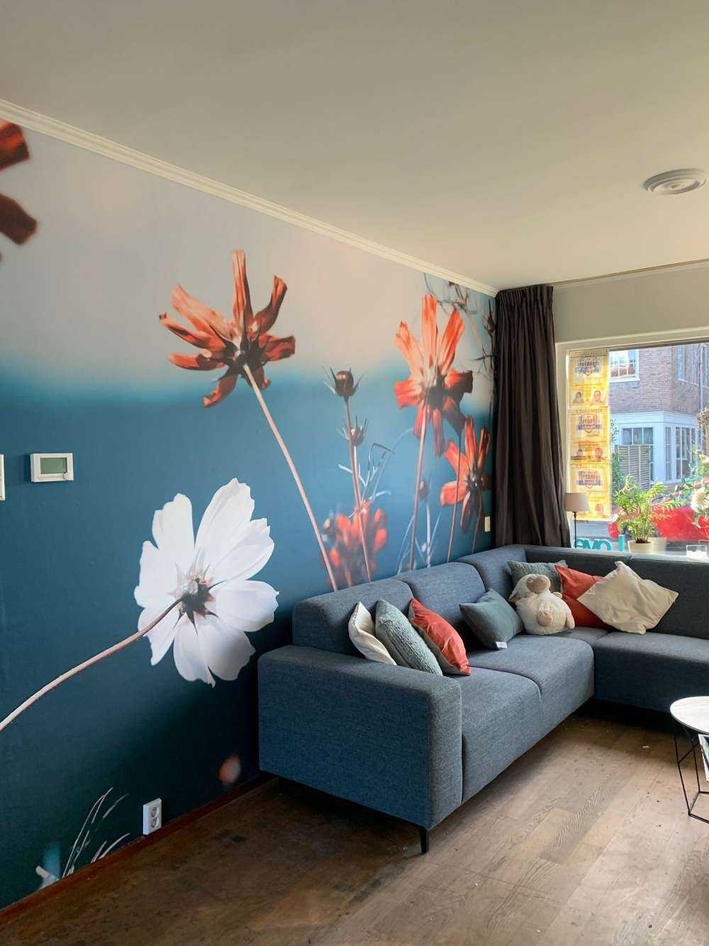 Kwiaty kosmosu w polu