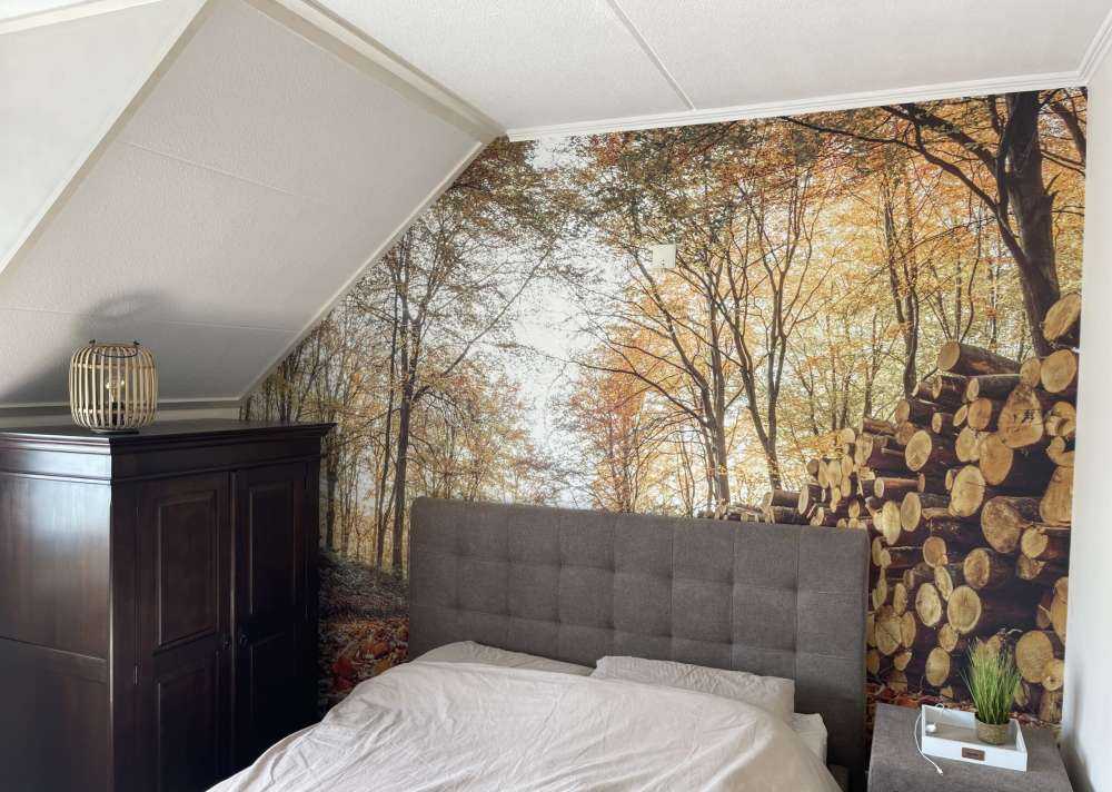 Pnie drzew w jesiennym lesie