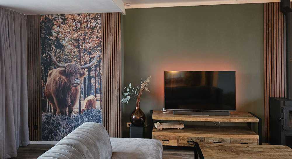 Szkocki góral na skraju lasu