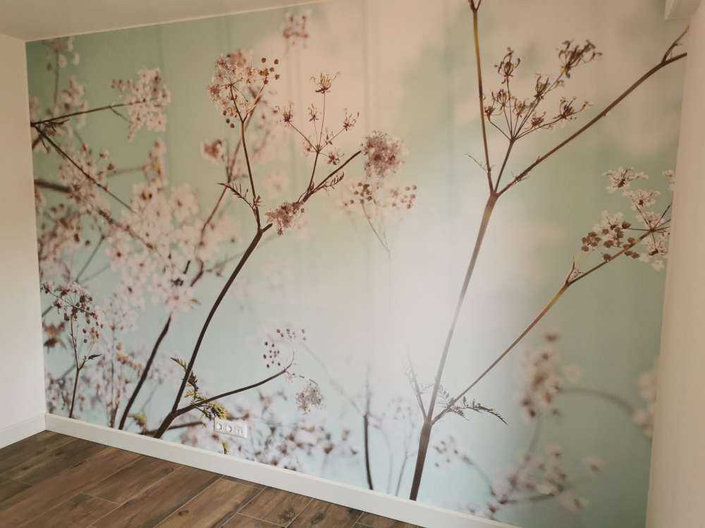 Kwiat migdałowca w słońcu