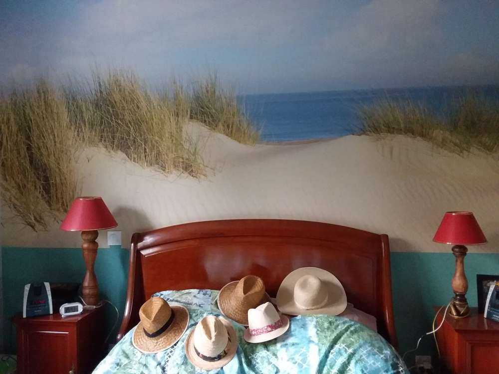 Wydmowe przejście na plażę