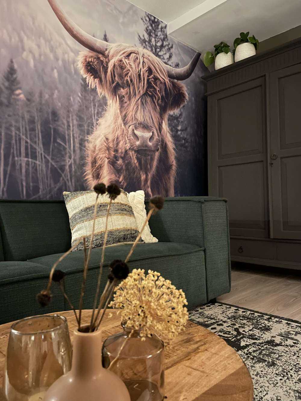 Szkocka rasa wyżynna przy lesie