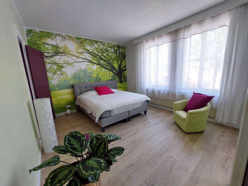 Piękne drzewo z zieloną trawą