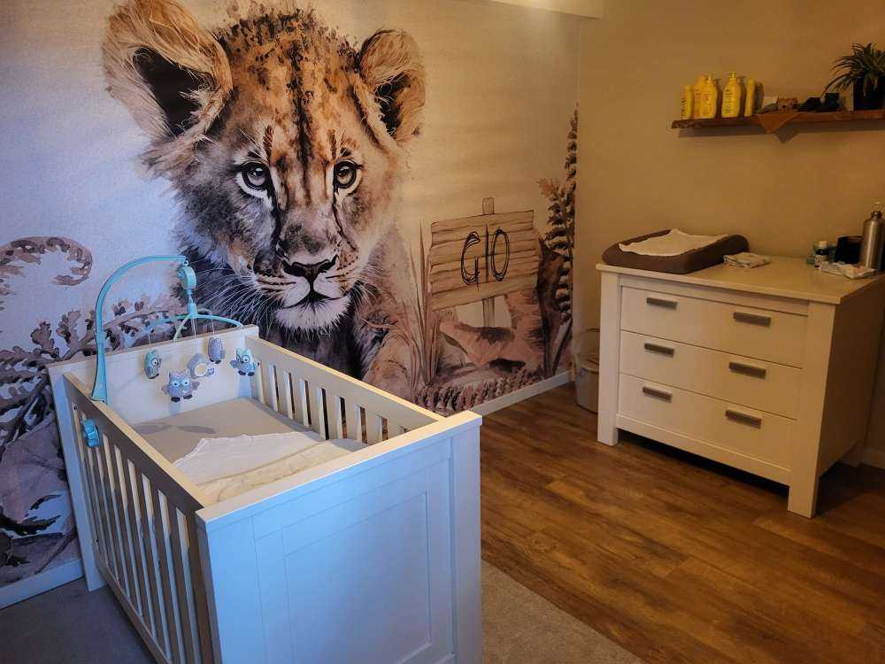 Młody lew w dżungli w kolorze beżowym