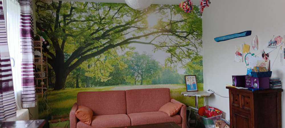 Piękne drzewo z zieloną trawą