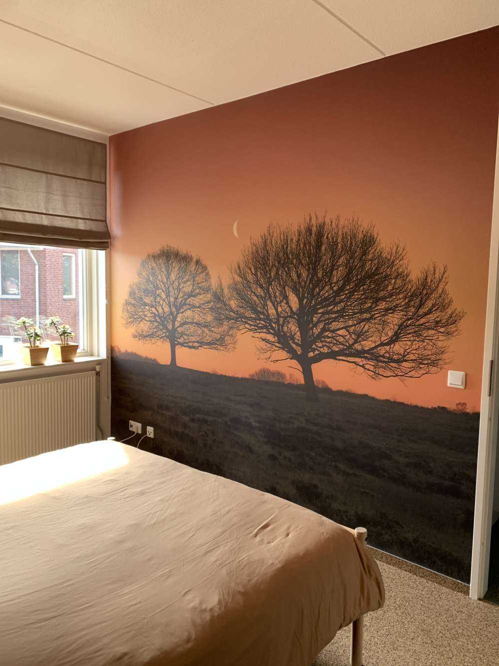 Księżyc między drzewami