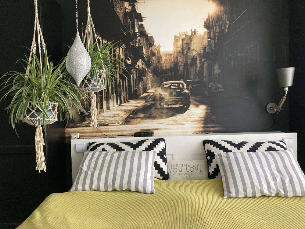 Mystic morning in Havana