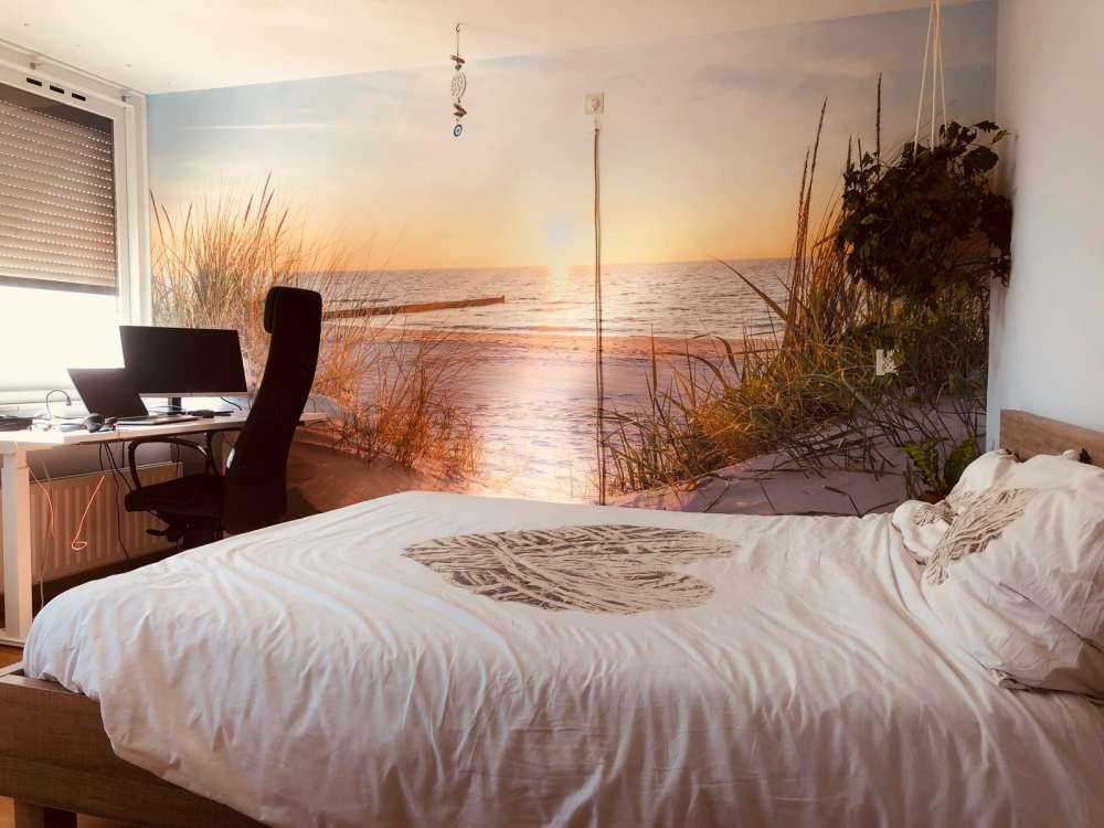 Plaża wydmowa przy zachodzie słońca