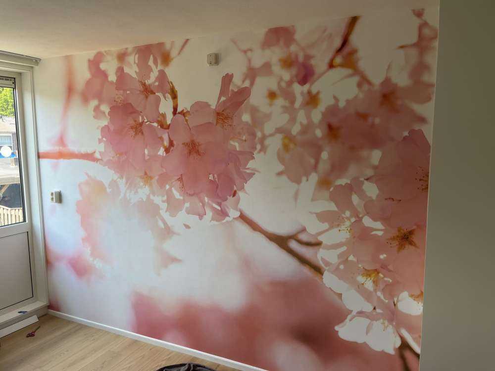 Kwiaty jasnoróżowe