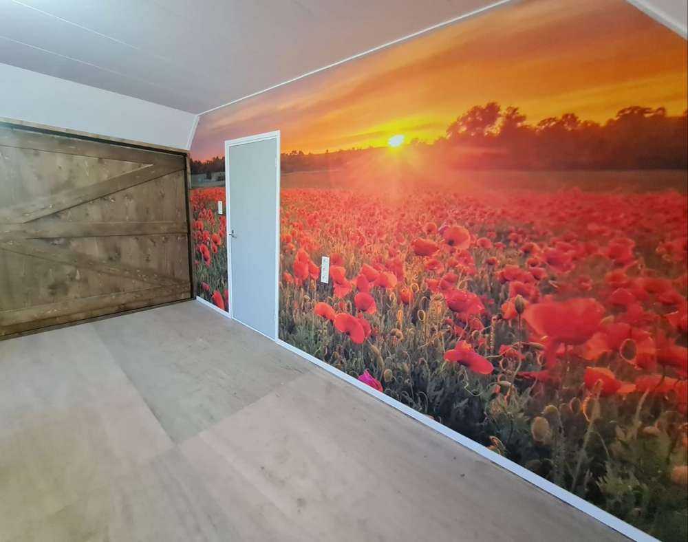 Kwitnące pole makowe