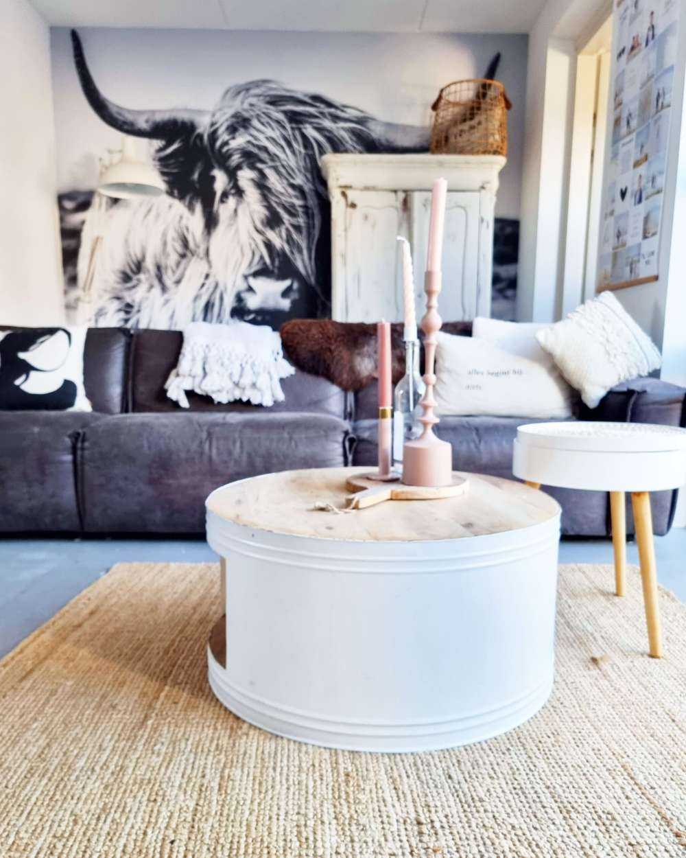 Szkocka rasa wyżynna w czerni i bieli