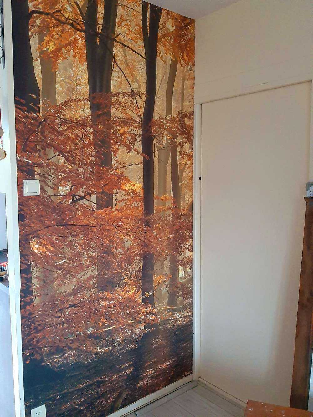 Jesienne kolory w lesie