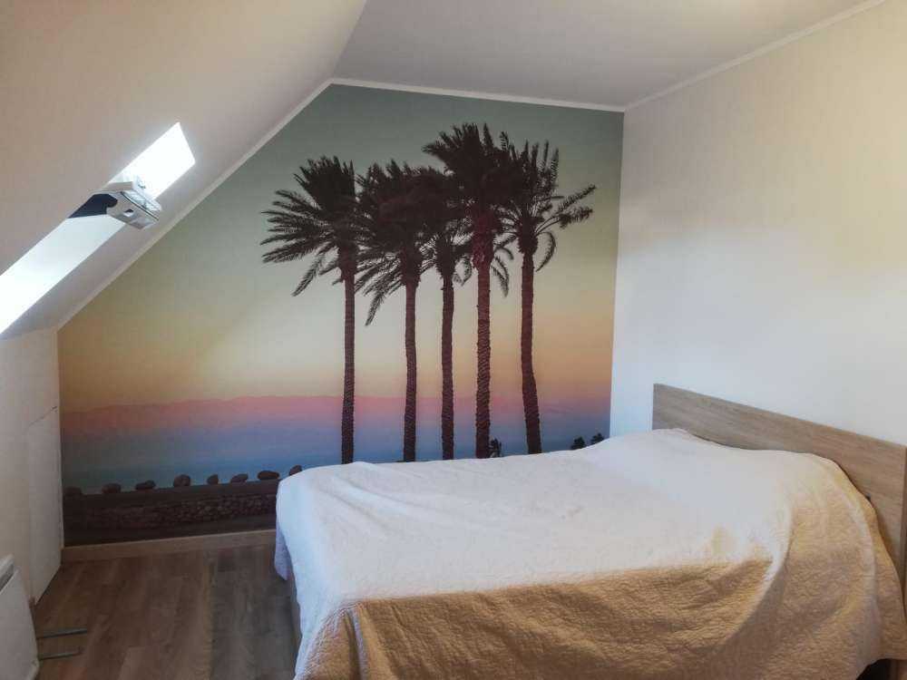 Palmy o zachodzie słońca